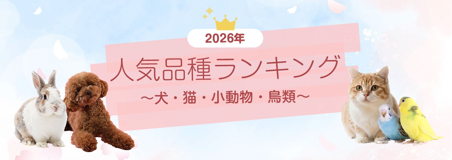 SBIプリズム少短【2026年度最新】　　　　　　　　　　　　　　犬・猫・小動物・鳥類 人気ランキング