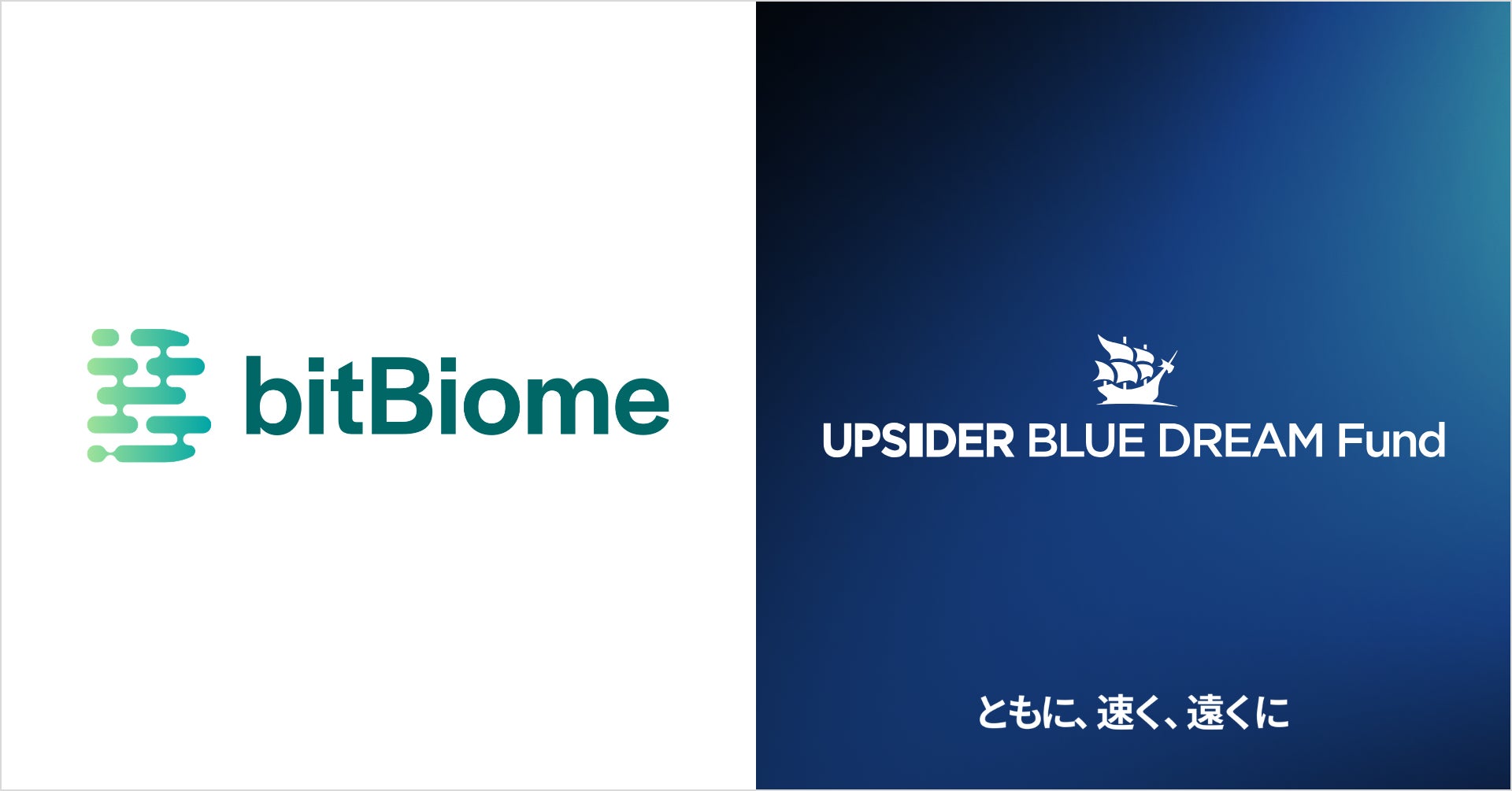UPSIDER BLUE DREAM Fund、bitBiome株式会社に5億円の融資を実行