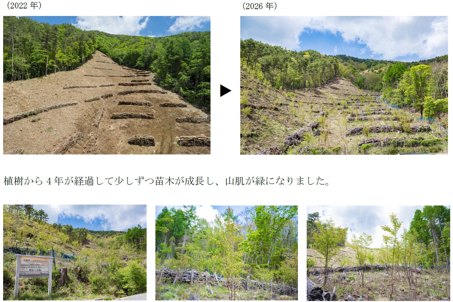 植樹プロジェクト「みんなで育む明日への森」のご報告