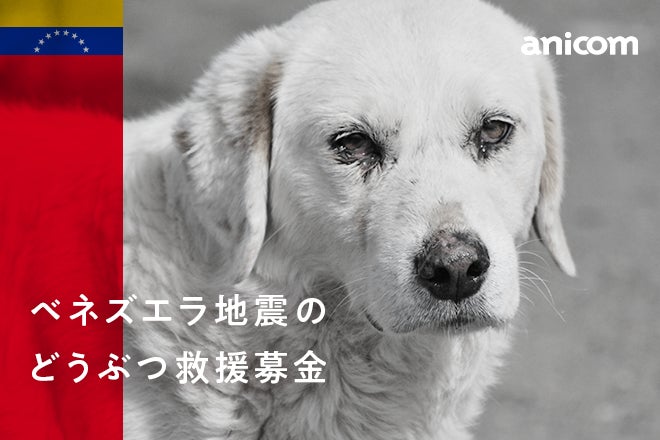 『ベネズエラ地震のどうぶつ救援募金』実施のお知らせ