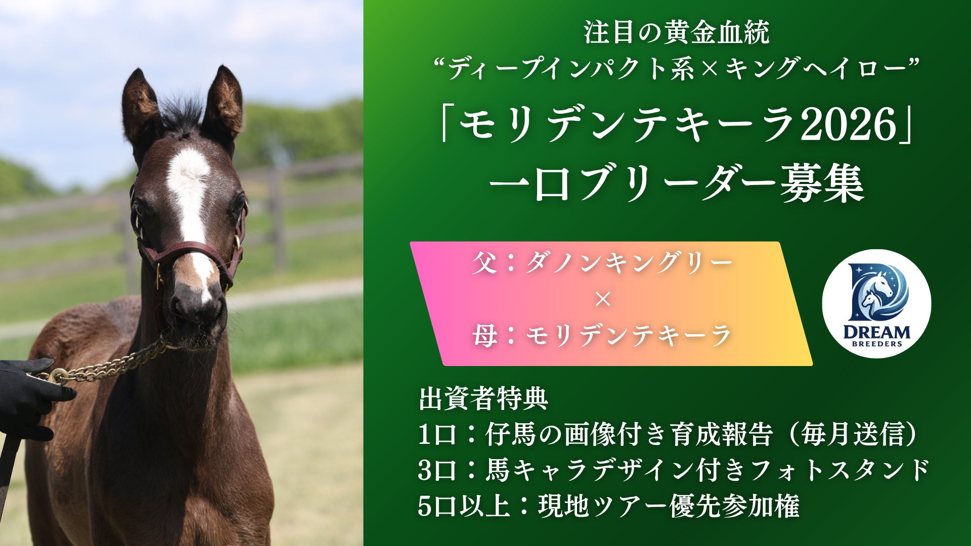 【7月開催】マレーシア金融研修ツアー事後レポート！富裕層向けに資産承継の手法を伝えるツアーを実施