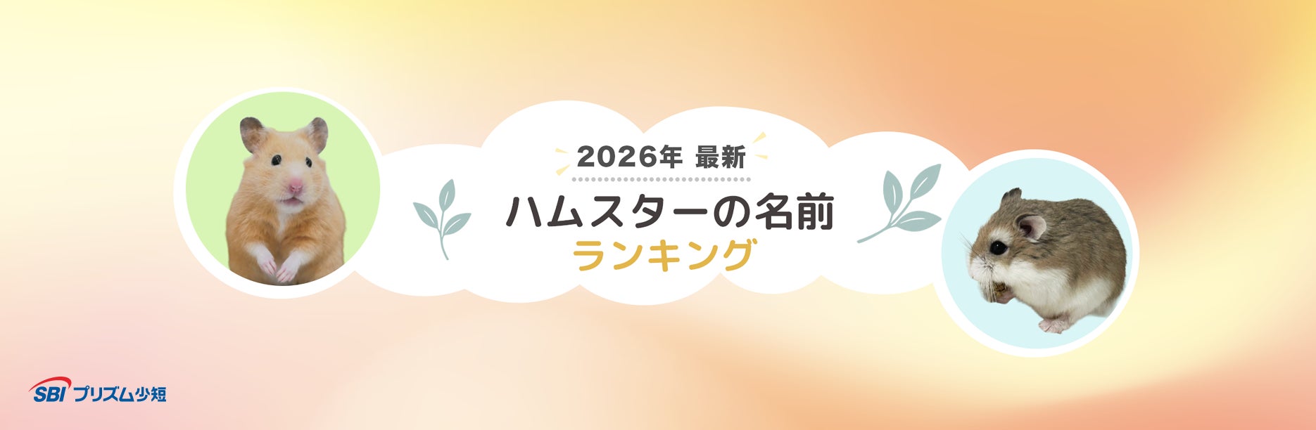 自転車青切符制度の認知9割に達するも、ルールの理解は依然として課題 自転車ユーザーは「車道走行」に不安の声