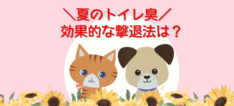 9割超が「夏が最も臭う」と回答！ペットトイレ臭の悩みワースト3と対策は？│ペット保険比較のピクシー